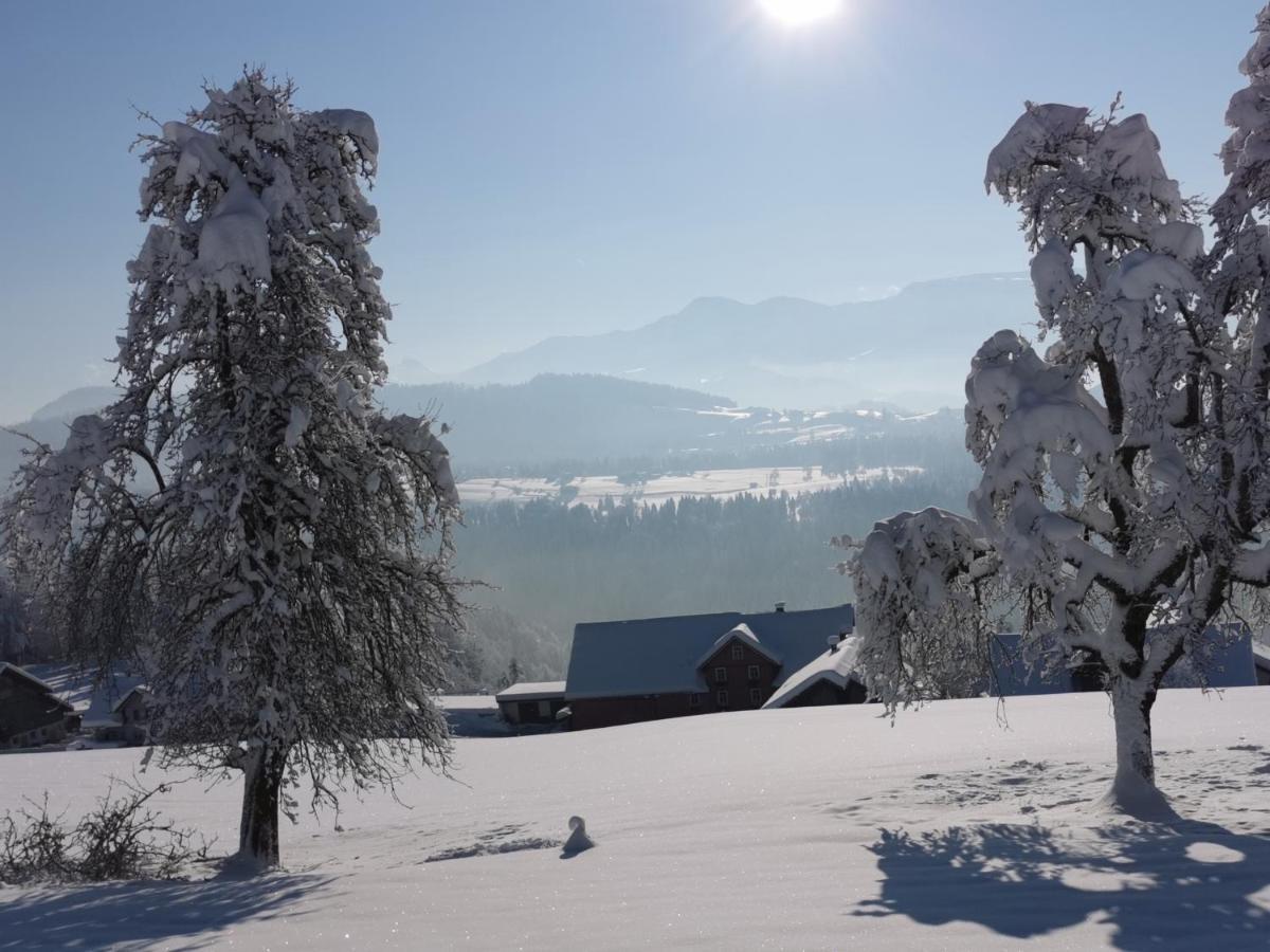 Ferienwohnung Panorama Doren Buitenkant foto